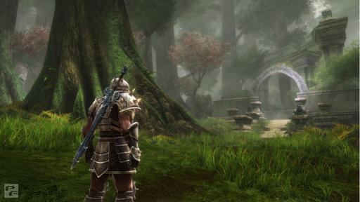 Kingdoms of Amalur: Reckoning - Fable'у и не снилось.